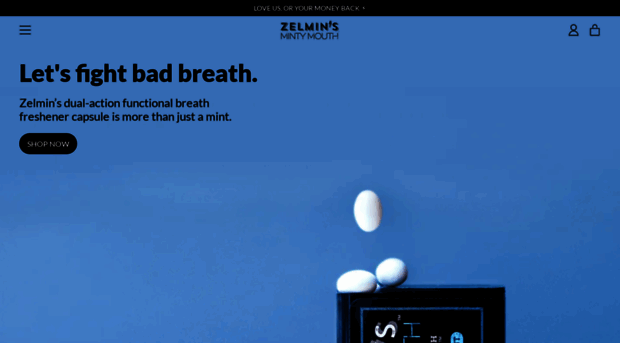 zelmins.com