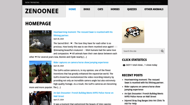 zenoonee.com