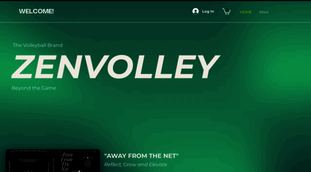 zenvolley.com