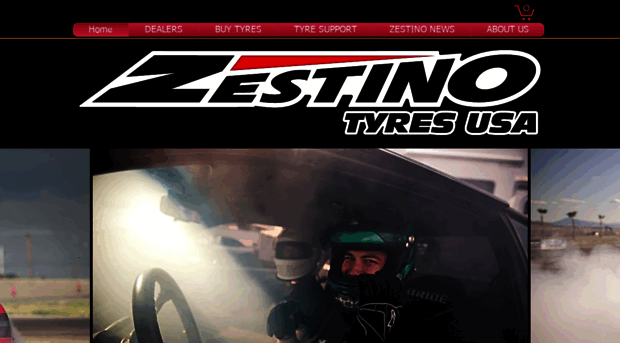 zestinotyreusa.com