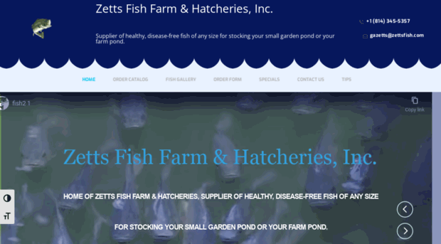 zettsfish.com