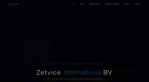 zetvice.com