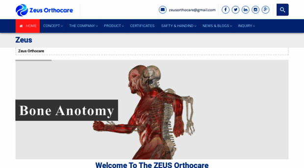 zeusorthocare.com