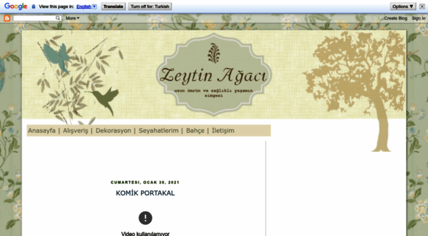zeytinagaci.blogspot.com