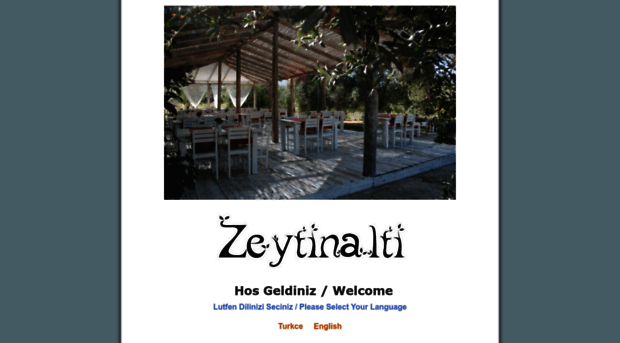 zeytinalti.com