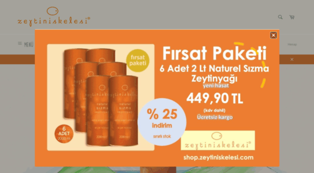 zeytiniskelesi.com