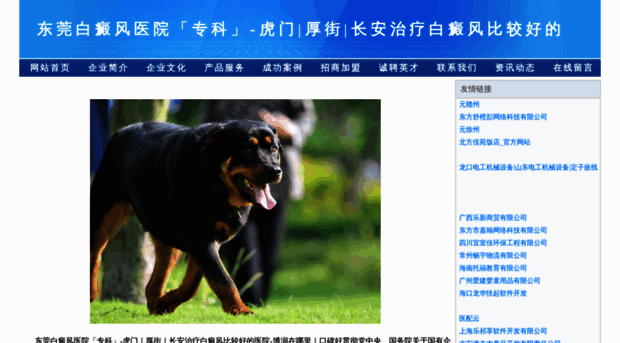 zhangqingys.com