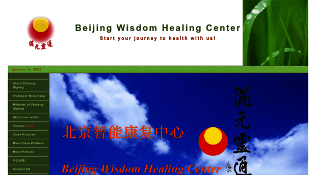 zhinengqigong.com