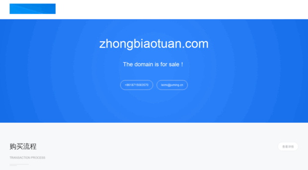 zhongbiaotuan.com
