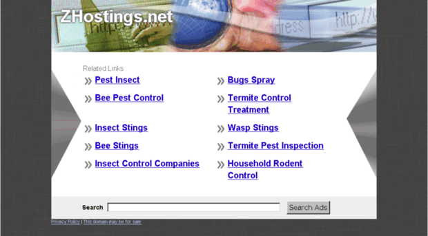 zhostings.net
