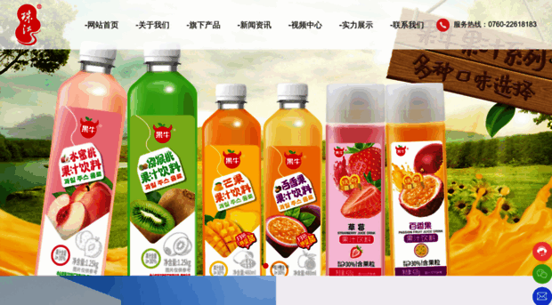 zhujiangbeverage.com