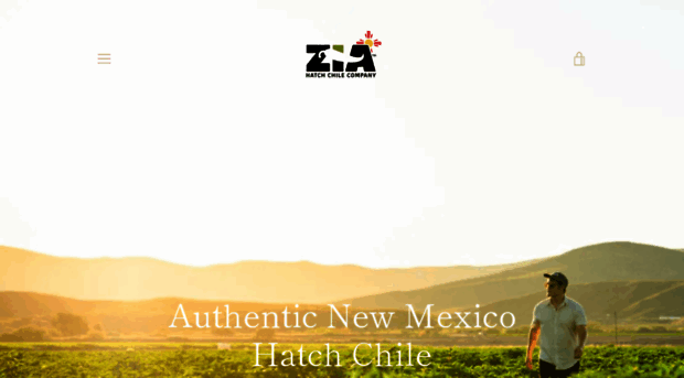 ziagreenchileco.com