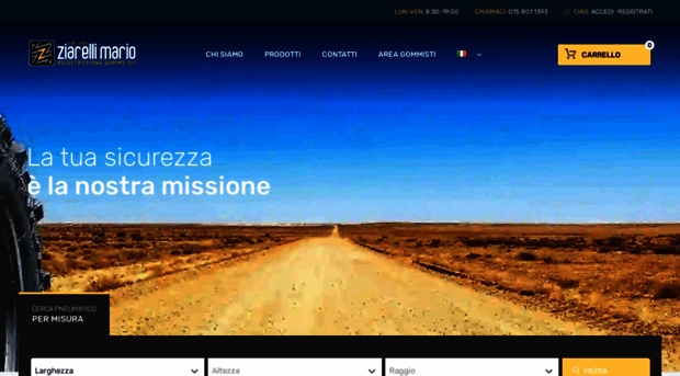 ziarelli.com