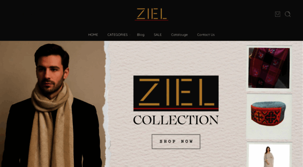 zielonline.in