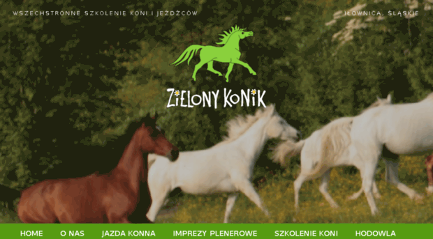 zielonykonik.pl