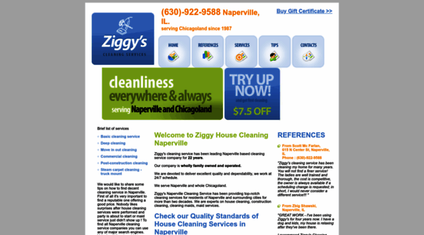 ziggycleaning.com