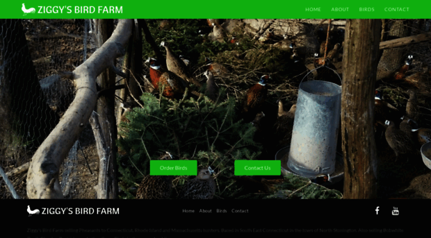 ziggysbirdfarm.com