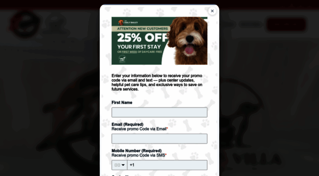 ziggysdogparlor.com