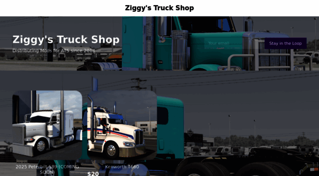 ziggysshop.sellfy.store