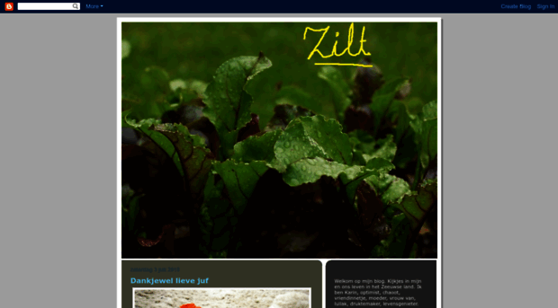 zilt-karin.blogspot.com