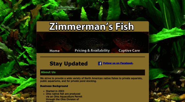 zimmermansfish.com