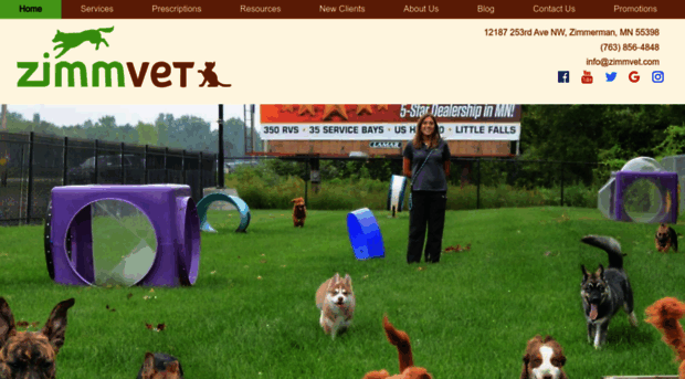 zimmvet.com