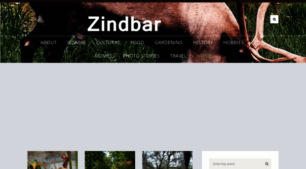 zindbar.com