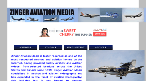 zingeraviation.com