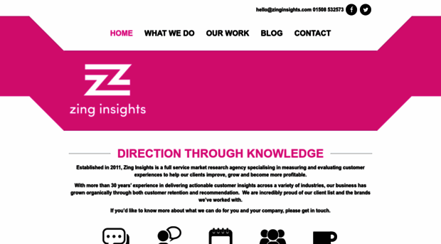 zinginsights.com