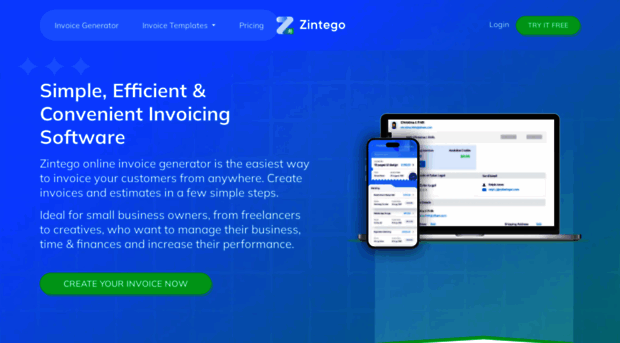 zintego.com