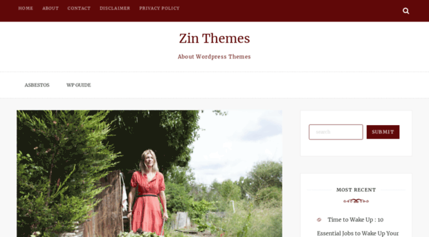 zinthemes.com