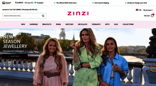 zinzi.com