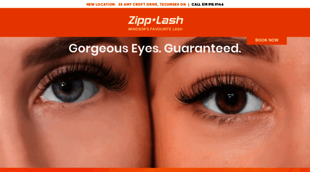 zipplash.com