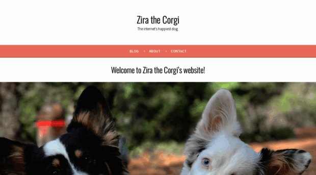 zirathecorgi.com