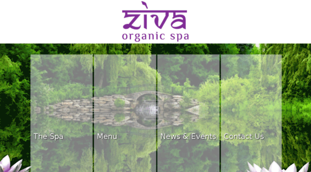 zivaorganicspa.com