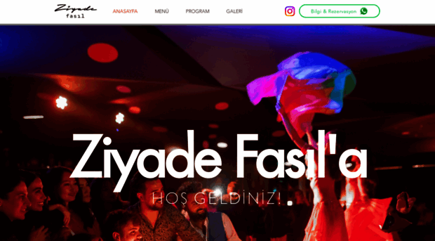 ziyadefasil.com