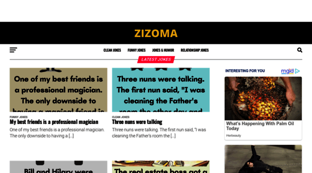 zizoma.fun