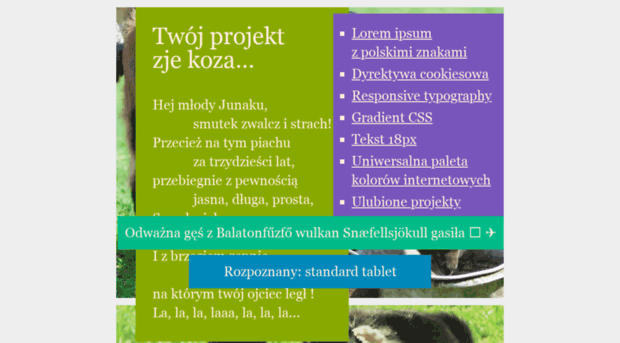 zjekoza.pl