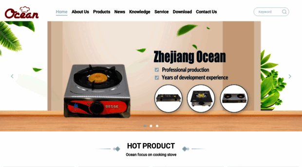 zjoceanstove.com