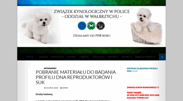zkwp-walbrzych.pl