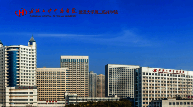 znhospital.cn