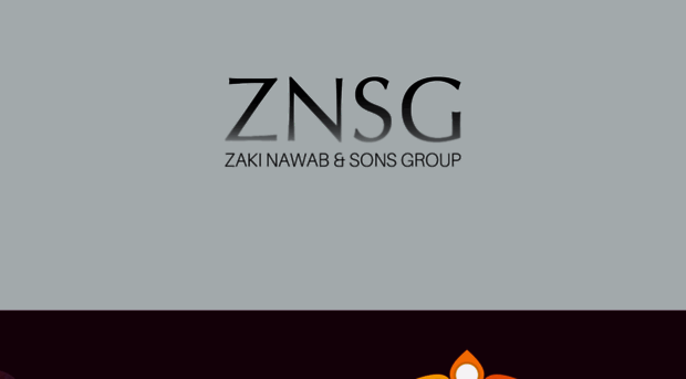 znsg.pk