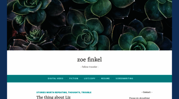 zoefinkel.com