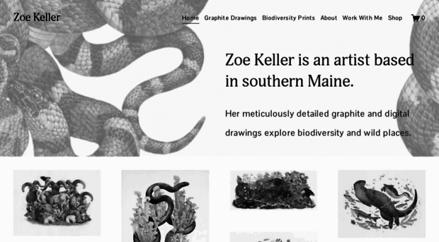 zoekeller.com