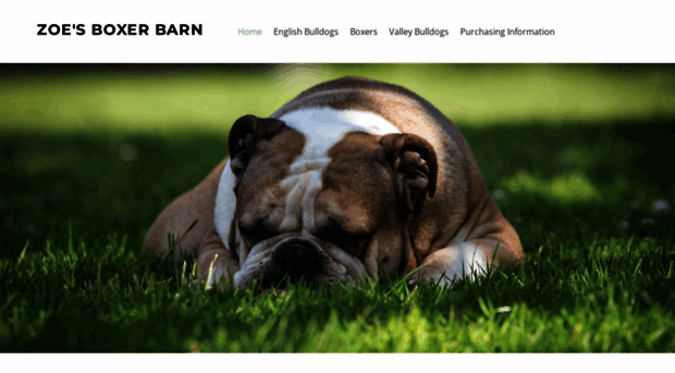 zoes-boxerbarn.com