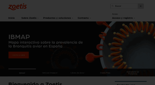 zoetis.es