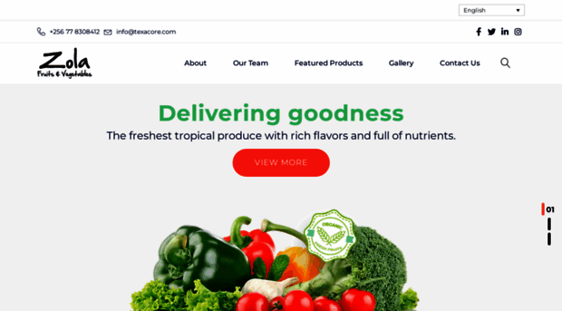 zolafruits.com