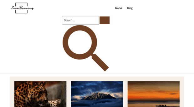 zonarunning.com