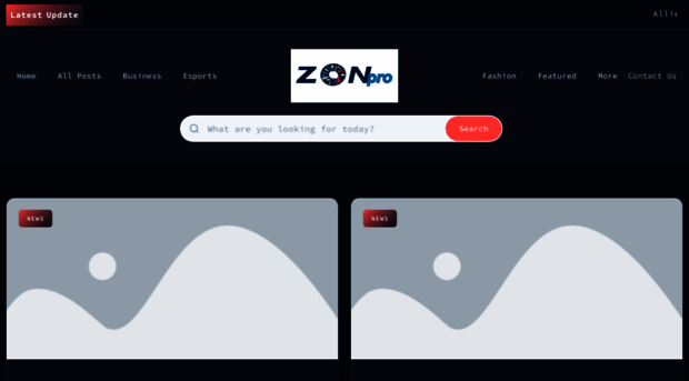 zoneladderpro.com