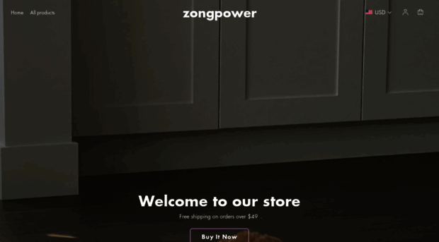 zongpower.com